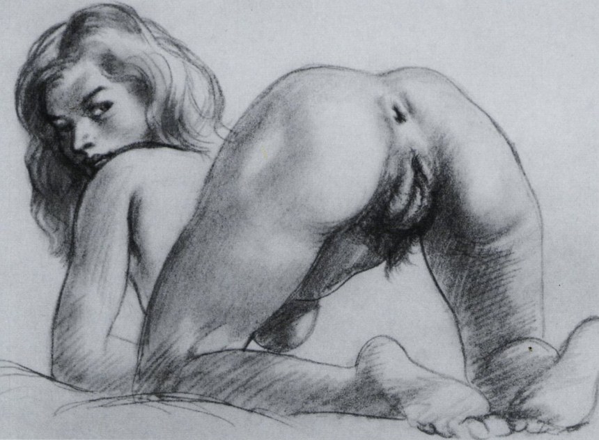 Красивые рисунки голых женщин