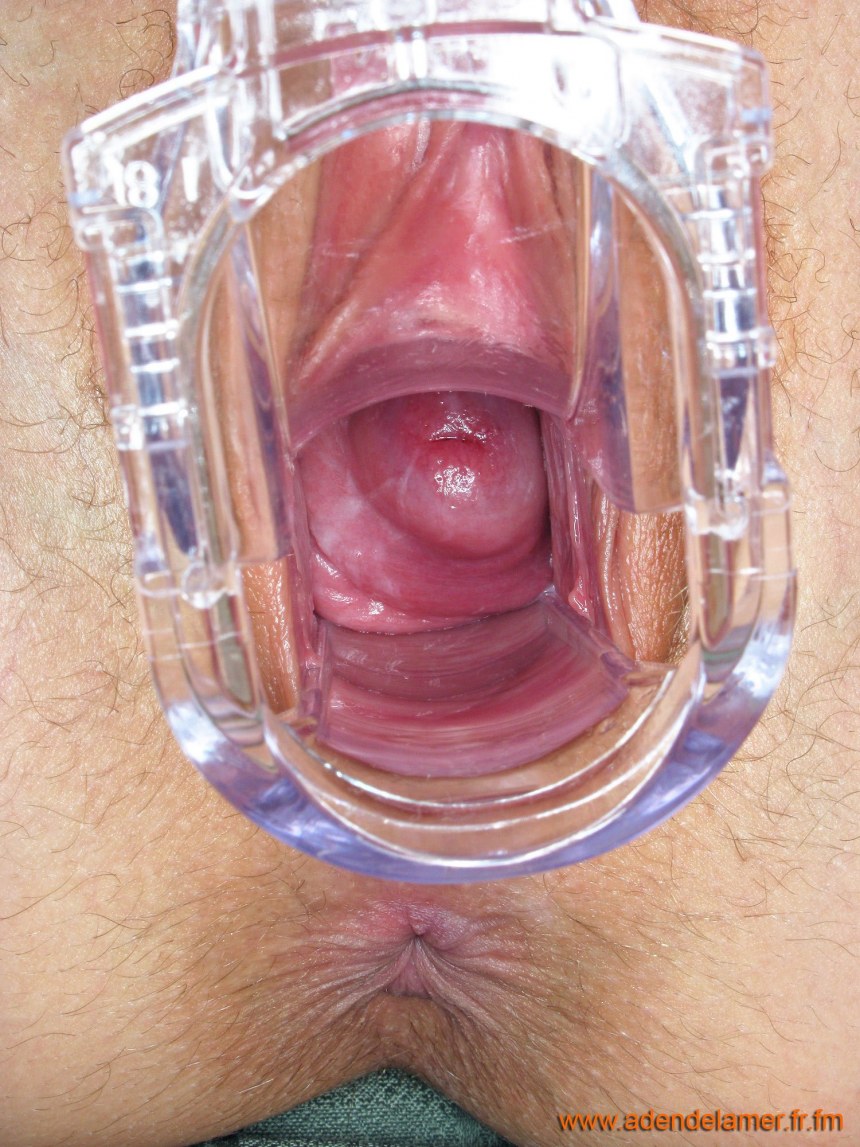 Хентай оплодотворение XRAY creampie