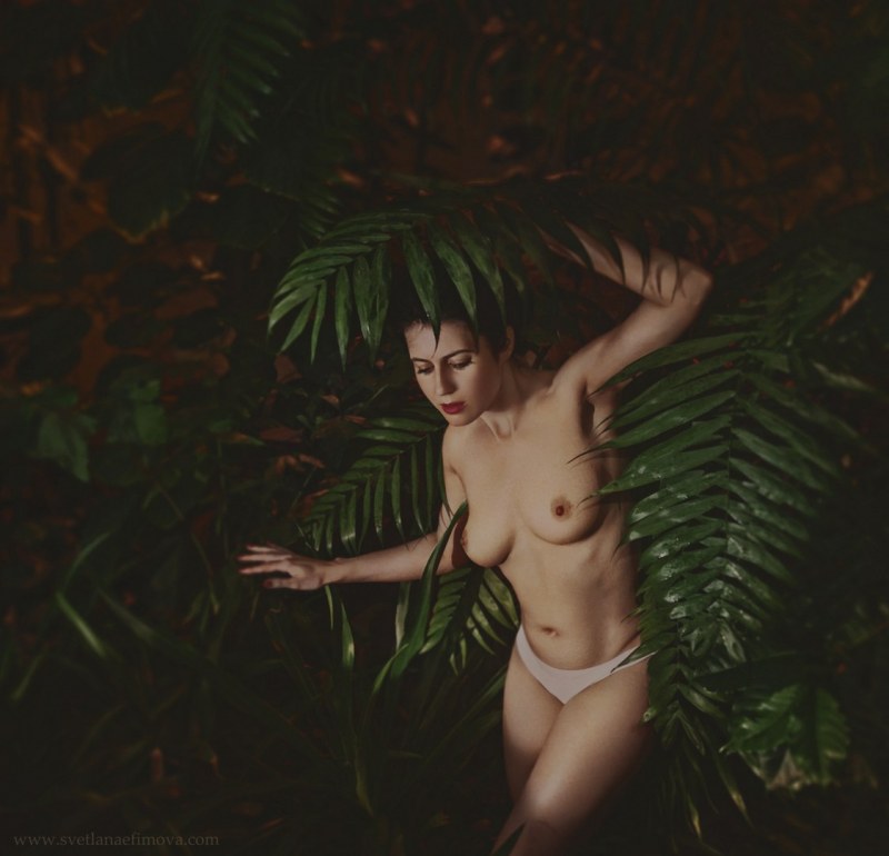 Светлана Ефимова голая