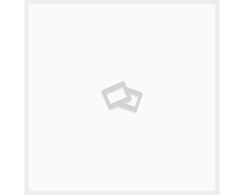 Nn-df383bzpe (инверторная)