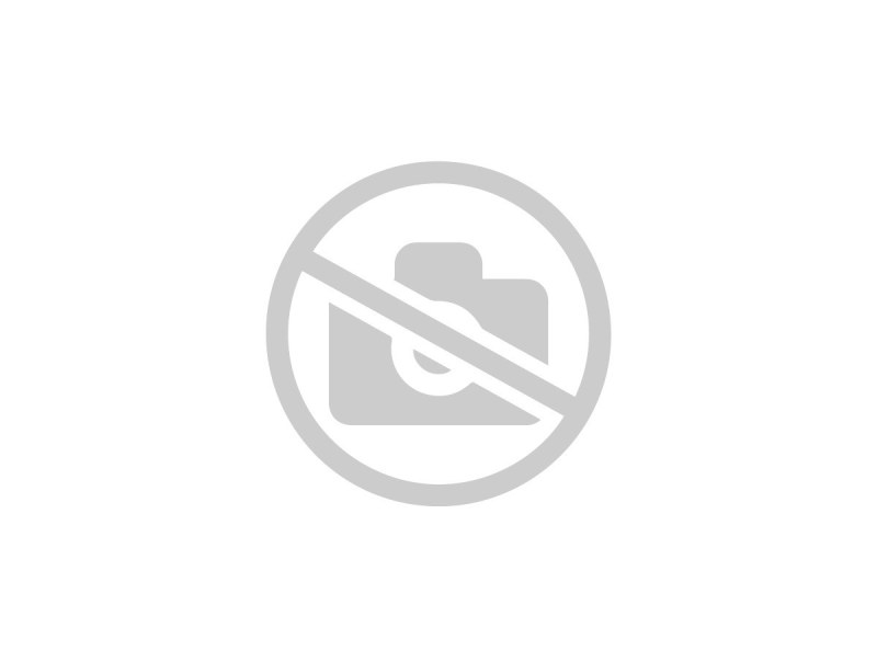 Материнская плата MSI 865gvm2-LS