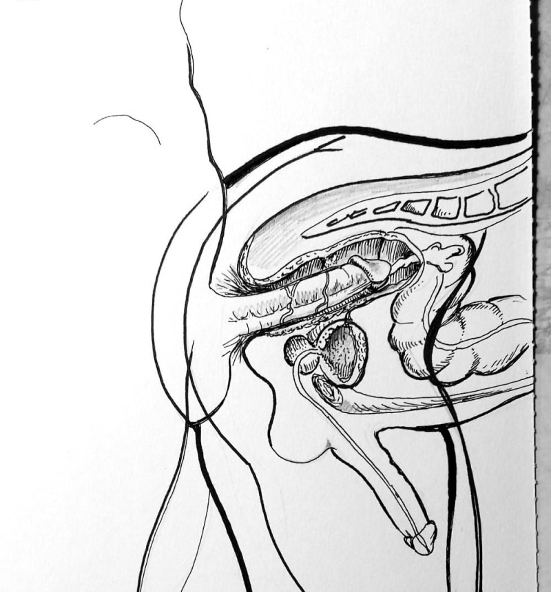 Хентай оплодотворение XRAY Милф